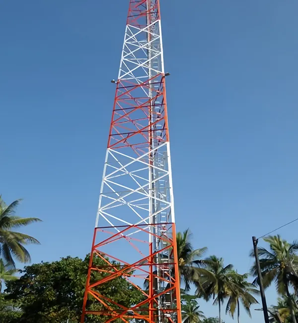 Aplicación y adaptabilidad