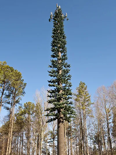 Las torres de comunicación de pino
