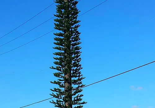 Funciones extendidas