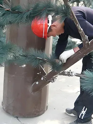 Comprobación de conexión