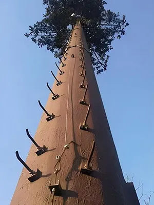 Inspección de apariencia final